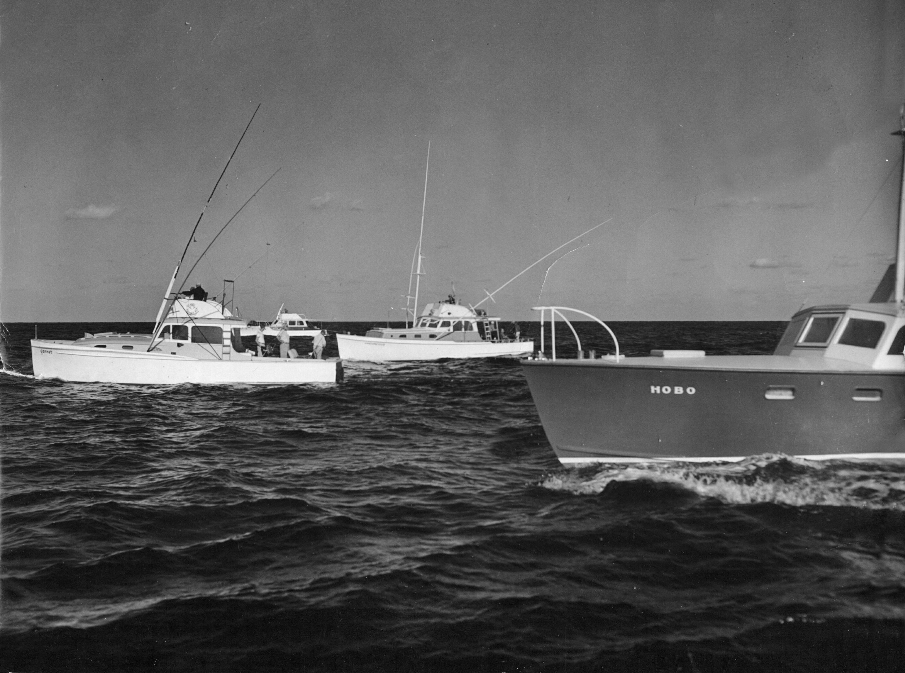 Click to See Next Image